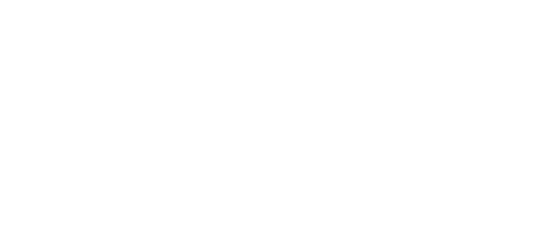 DIFMI - Deutsches Institut für Management und Innovation - Logo